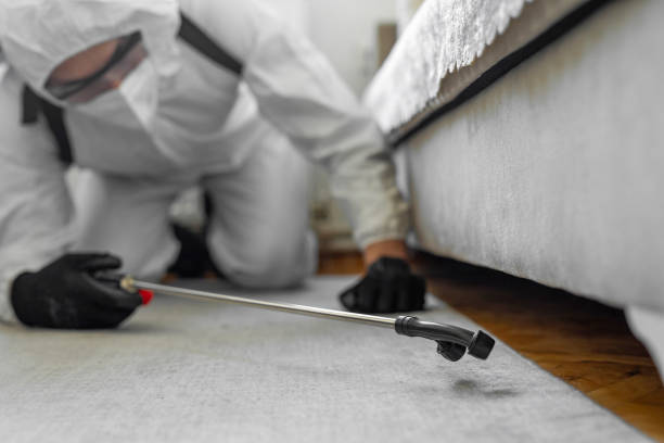 Professional Termite Control technician working in Alma, MI