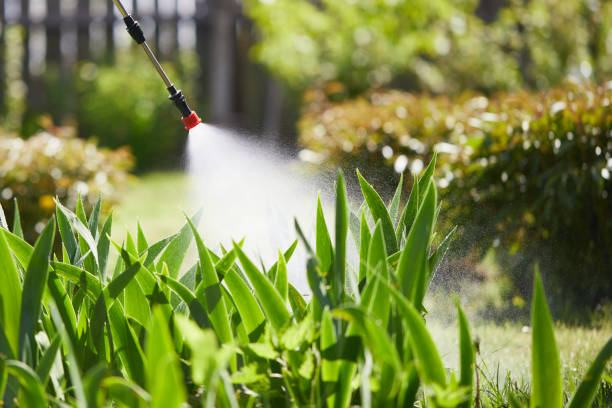 24/7 Emergency Termite Control experts in Alma, MI