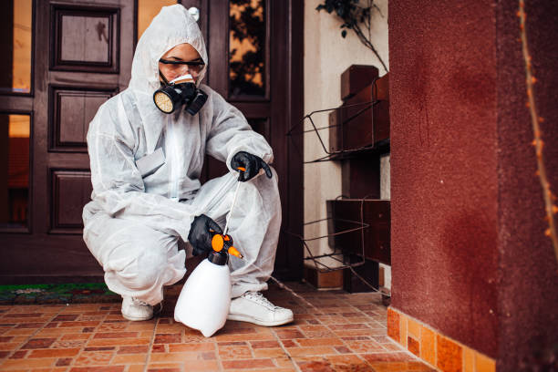 Reliable Termite Control contractor in Alma, MI by Nex Pest Control