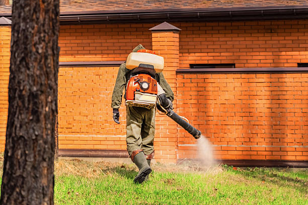 Top rated local Termite Control specialists in Alma, MI